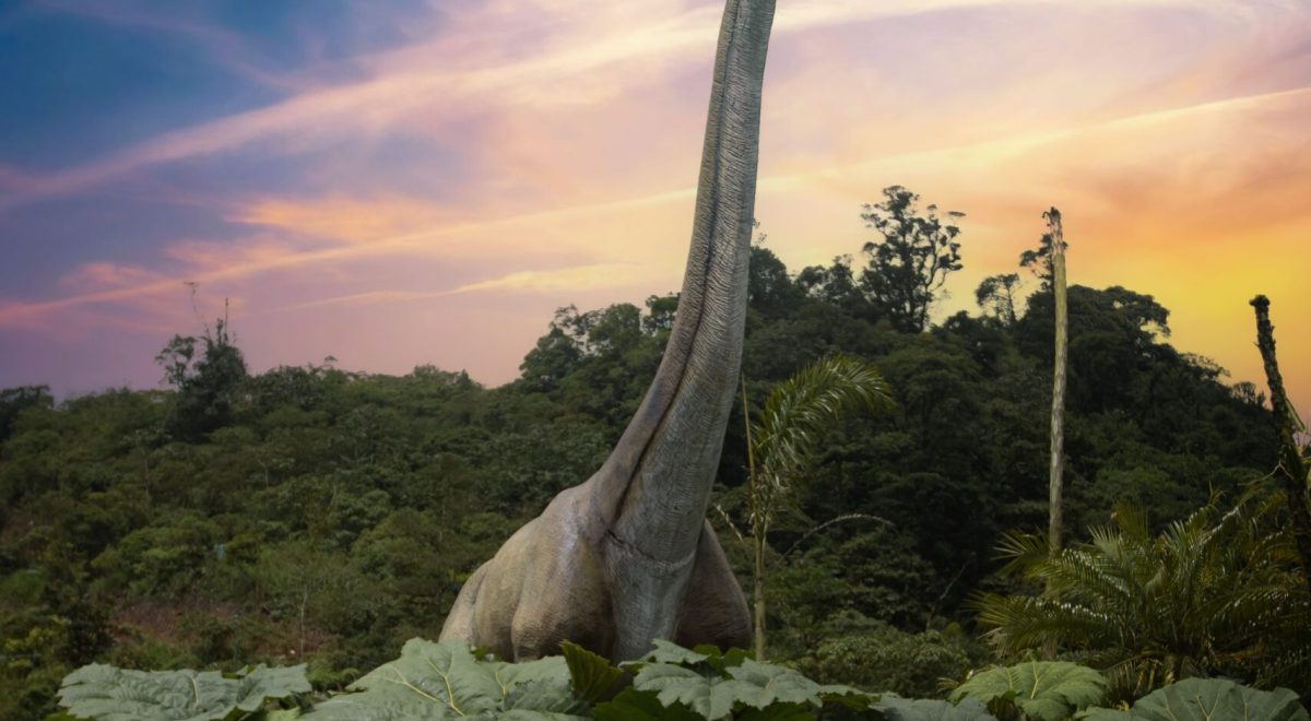 Dinosaur: Everything You Need to Know
